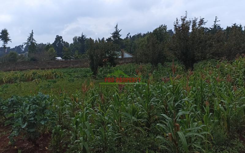 1 Acre Land For Sale In Limuru, Kiambu County