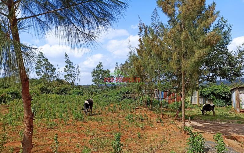 Residential 50 By 100ft For Sale In Kikuyu, Kamangu