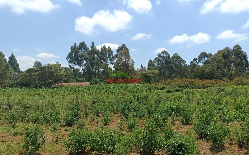Residential Or Investment Plots For Sale In Ng’amba, Kikuyu