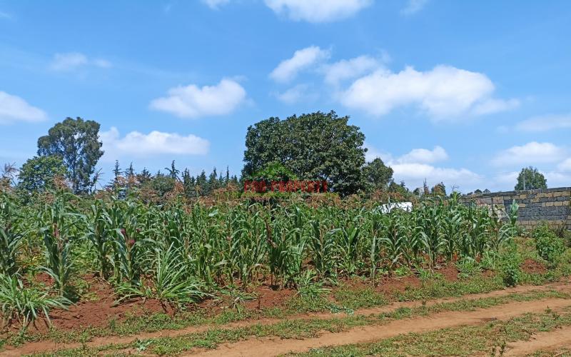 Plots For Sale In Ng’amba, Kikuyu