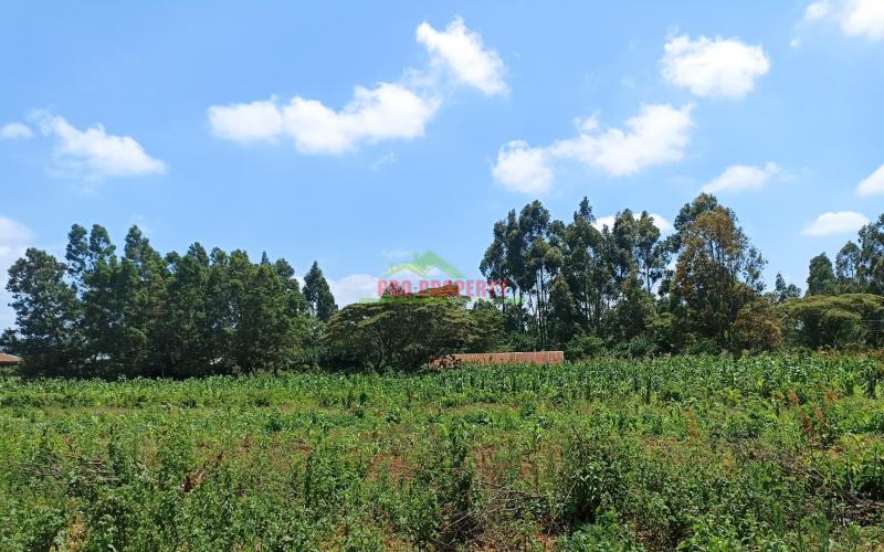 Residential Or Investment Plots For Sale In Ng’amba, Kikuyu
