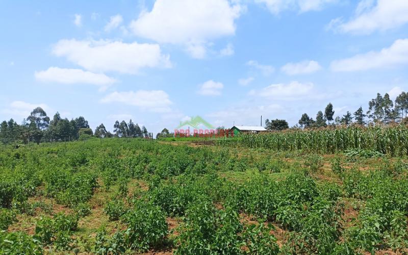 Residential Or Investment Plots For Sale In Ng’amba, Kikuyu