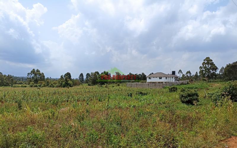 Residential Plots For Sale In Lusigetti