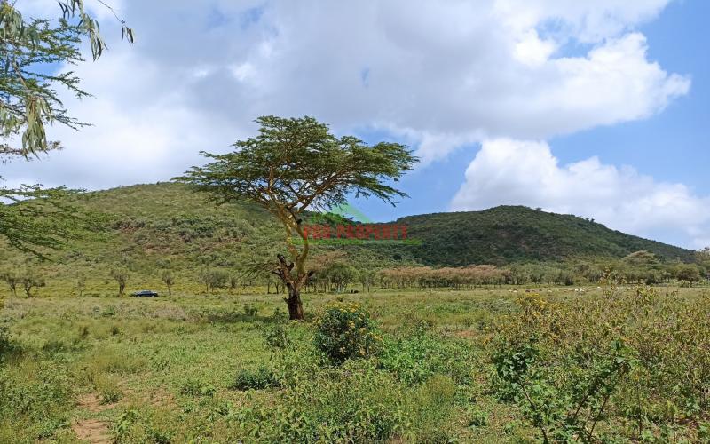 Plots For Sale In Maai Mahiu Town