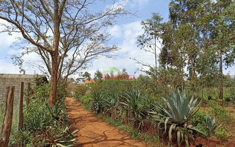 Quarter Acre For Sale In Kikuyu Gikambura, Behind Nairobi Ndogo