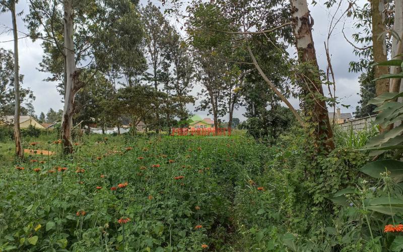 Residential Plot For Sale In Kikuyu, Ondiri