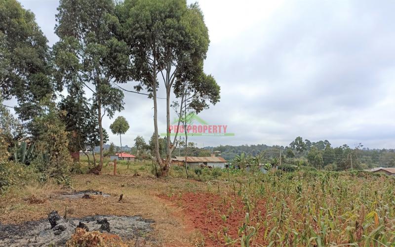 50 By 100ft Plots For Sale In Kikuyu, Lusigetti – Kiambu County