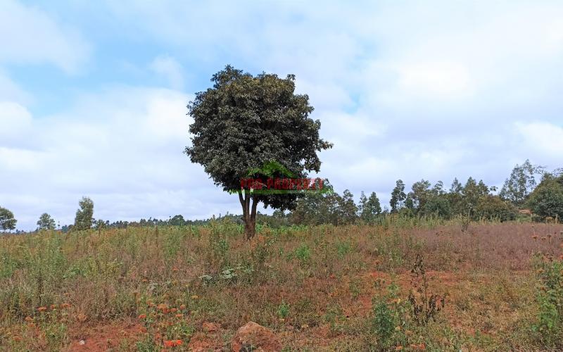 50 By 100ft Plots For Sale In Kikuyu, Lusigetti – Kiambu County