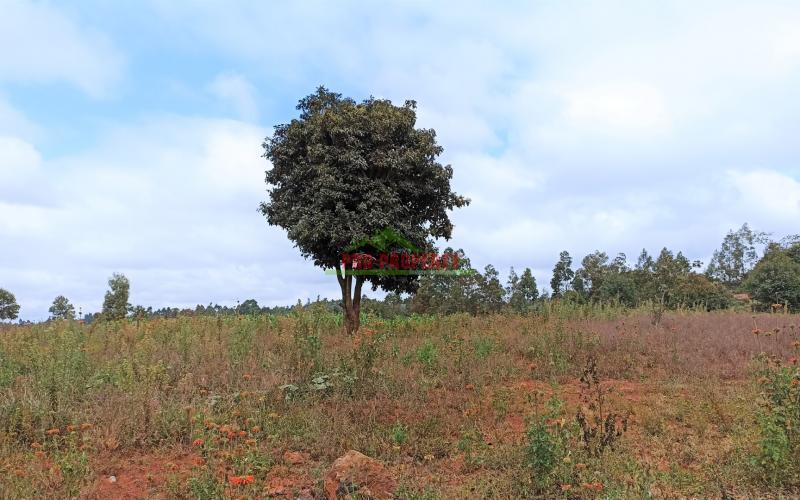 50 By 100ft Plots For Sale In Kikuyu, Lusigetti – Kiambu County