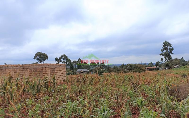 50 By 100ft Plots For Sale In Kikuyu, Lusigetti – Kiambu County