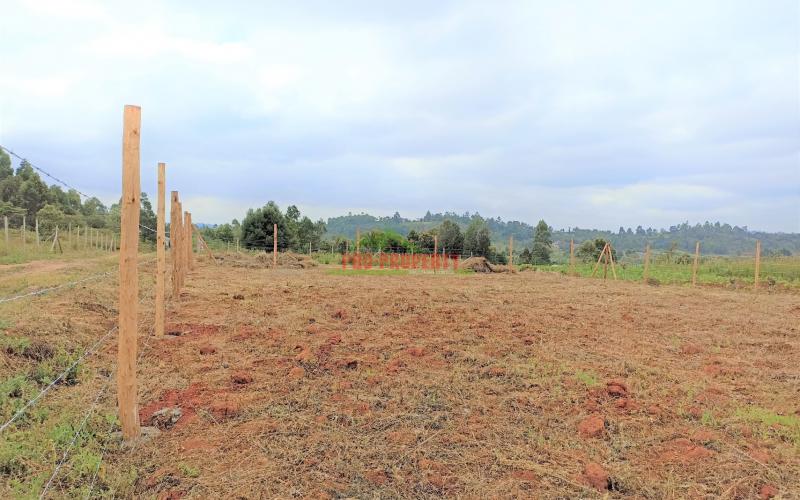 Prime Plot For Sale In Kikuyu, Lusigetti (rose Gate)