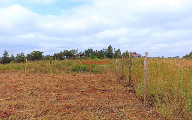 Prime Plot For Sale In Kikuyu, Lusigetti (rose Gate)