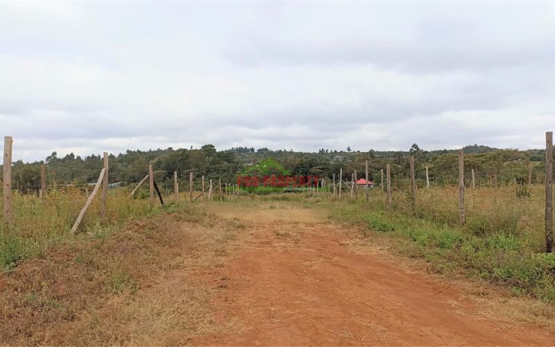 Prime Plot For Sale In Kikuyu, Lusigetti (rose Gate)