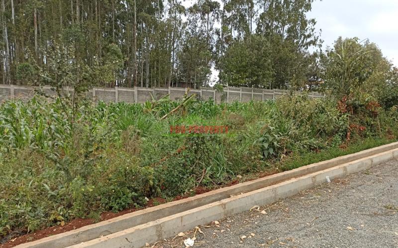 Prime Quarter Acre Plot For Sale In Kikuyu, Mai A Ihii