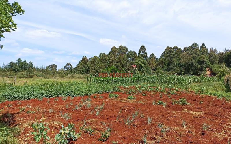 75 By 100ft Plot For Sale In Kikuyu, Ondiri