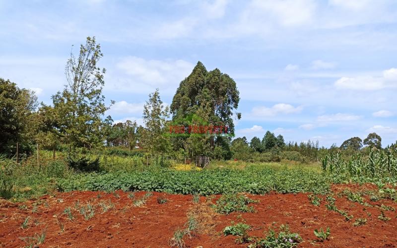 75 By 100ft Plot For Sale In Kikuyu, Ondiri