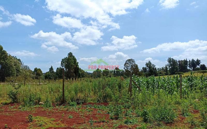 75 By 100ft Plot For Sale In Kikuyu, Ondiri