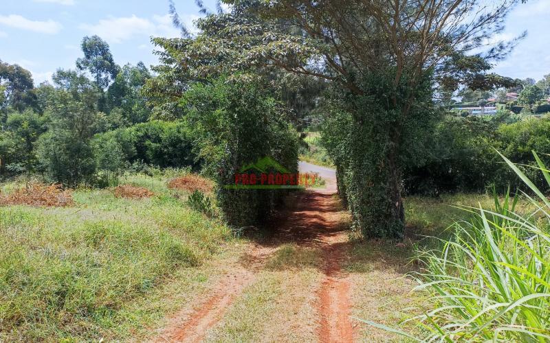Prime Plot for Sale in Ondiri, Kikuyu Area.