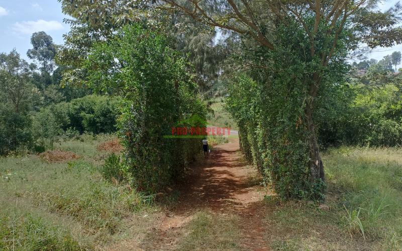 Quarter Acre Prime Land For Sale In Kikuyu, Ondiri