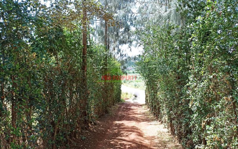 Quarter Acre Prime Land For Sale In Kikuyu, Ondiri