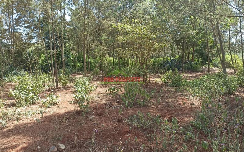 100 By 100ft Plot For Sale In Ondiri, Karai – Kiambu County