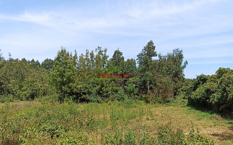 Prime Land For Sale In Kikuyu, Ondiri Area.