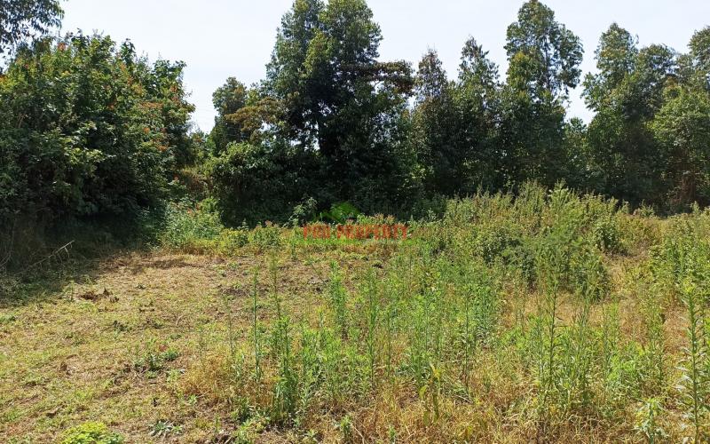 Prime Land For Sale In Kikuyu, Ondiri Area.