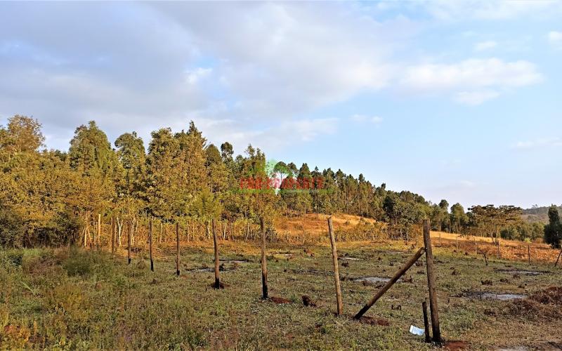 Prime Residential Plot For Sale In Kikuyu, Kamangu (migumoini Area)