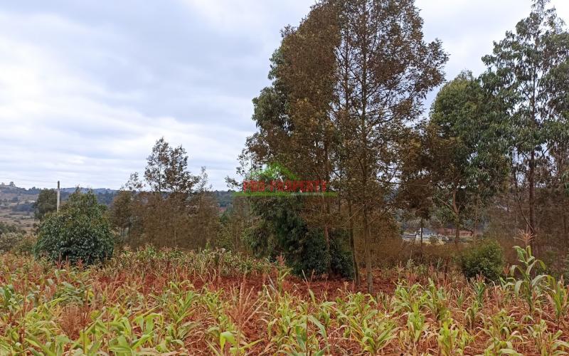 Residential Plot For Sale In Kikuyu, Karai (migumo-ini)