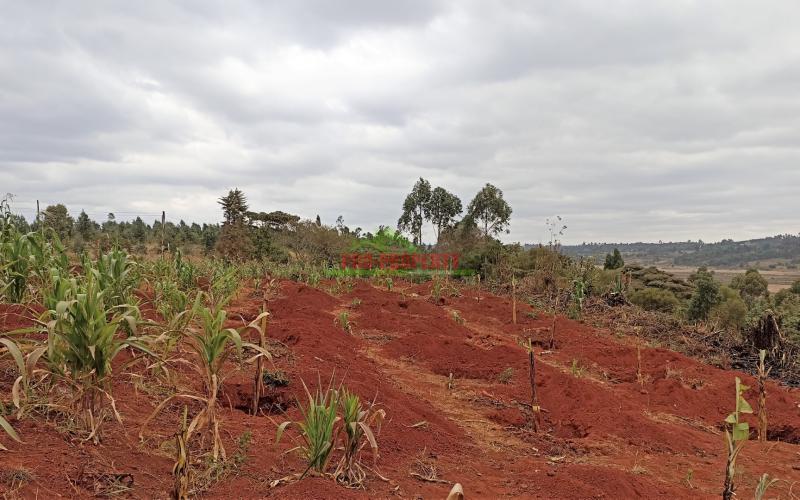 Residential Plot For Sale In Kikuyu, Karai (migumoini)