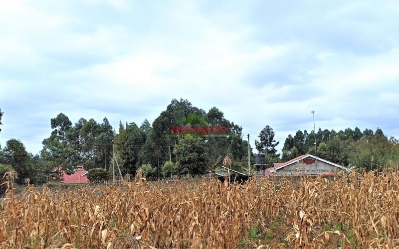 Prime Residential Plots for Sale in Kikuyu (Migumoini)