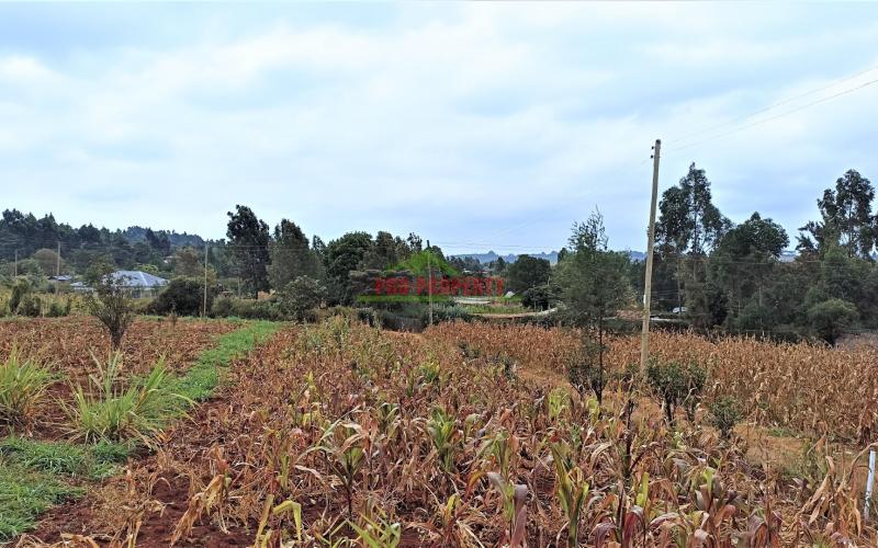 Prime Residential Plots For Sale In Kikuyu (migumoini)