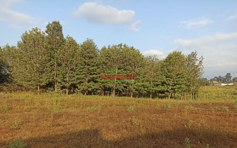 Prime One Acre Land For Sale In Kikuyu, Ng’amba Area