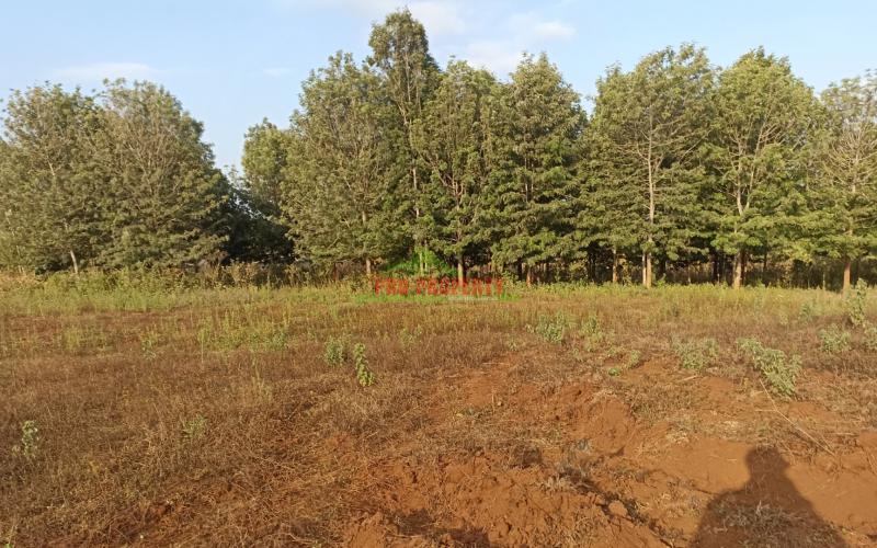 Prime One Acre Land For Sale In Kikuyu, Ng’amba Area
