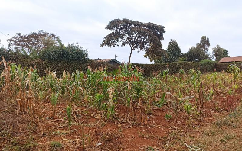 Residential Plot For Sale In Kamangu, Gewa Road