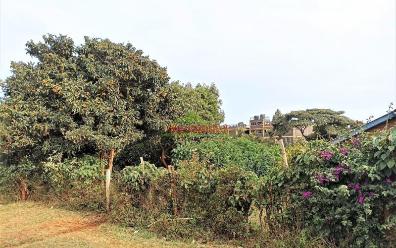 Prime Commercial Plot For Sale In Kikuyu, Gikambura, For A Flat