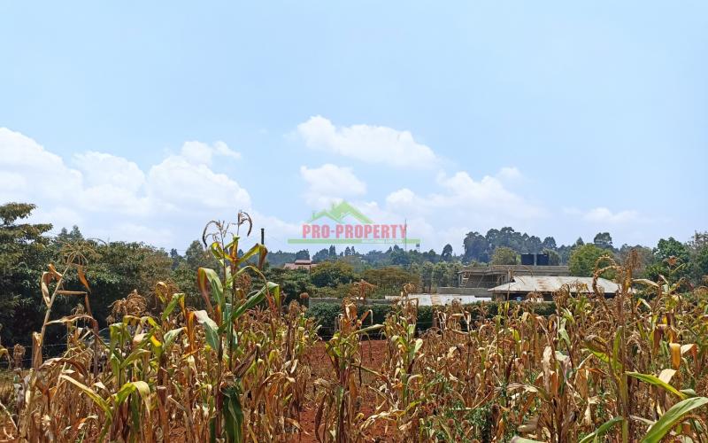 Plot For Sale In Gikambura, Kikuyu Near Gicharani Primary
