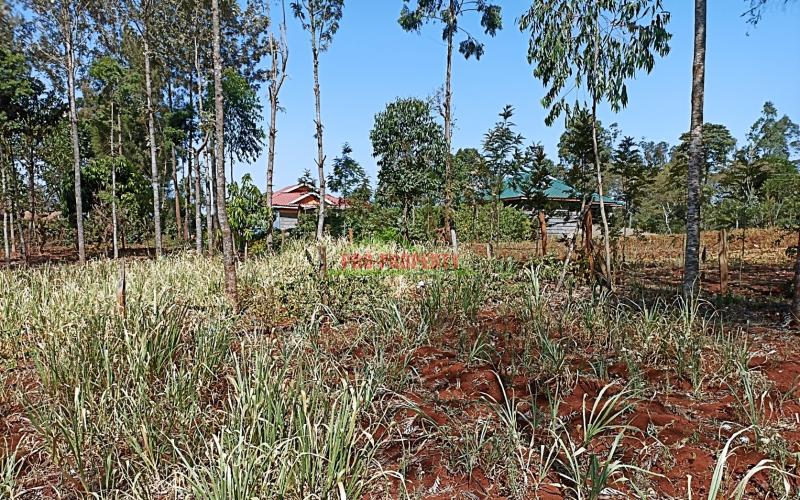 Prime Residential Plot for Sale in Ondiri