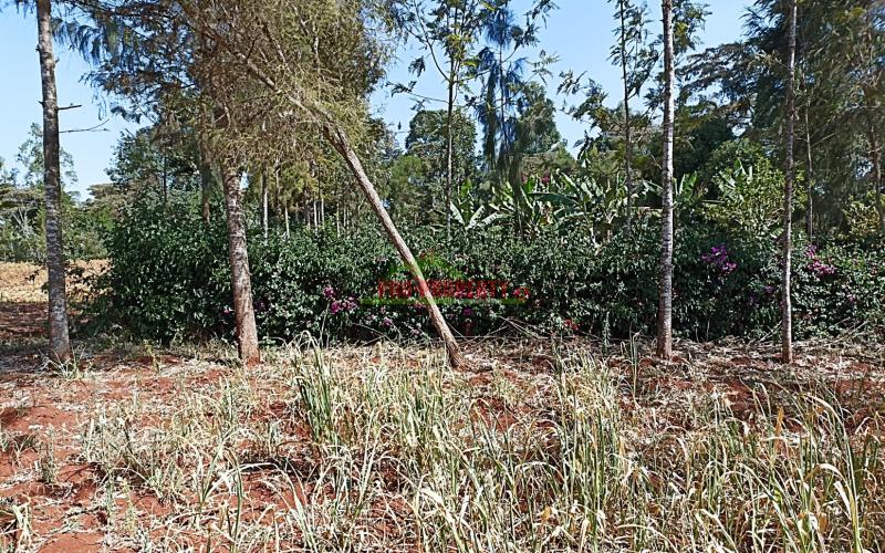 Prime Residential Plot For Sale In Ondiri