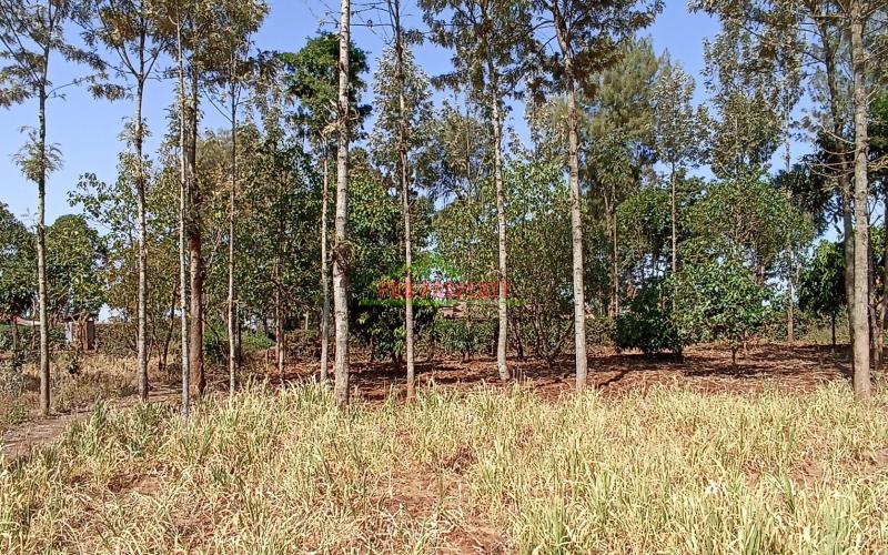 Prime Residential Plot For Sale In Ondiri