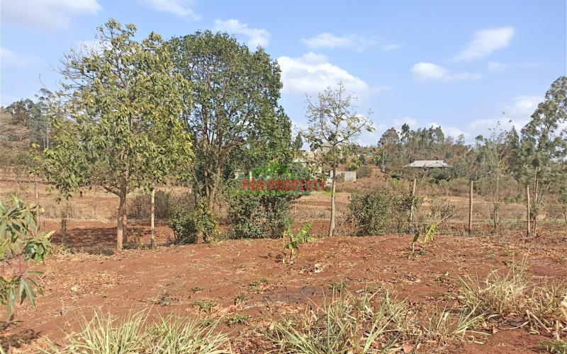 Residential Plot For Sale In Kamangu, Migumoini