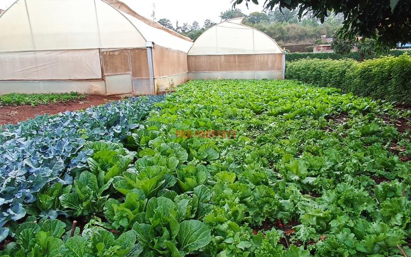 Residential Plot For Sale In Kikuyu, Ondiri.