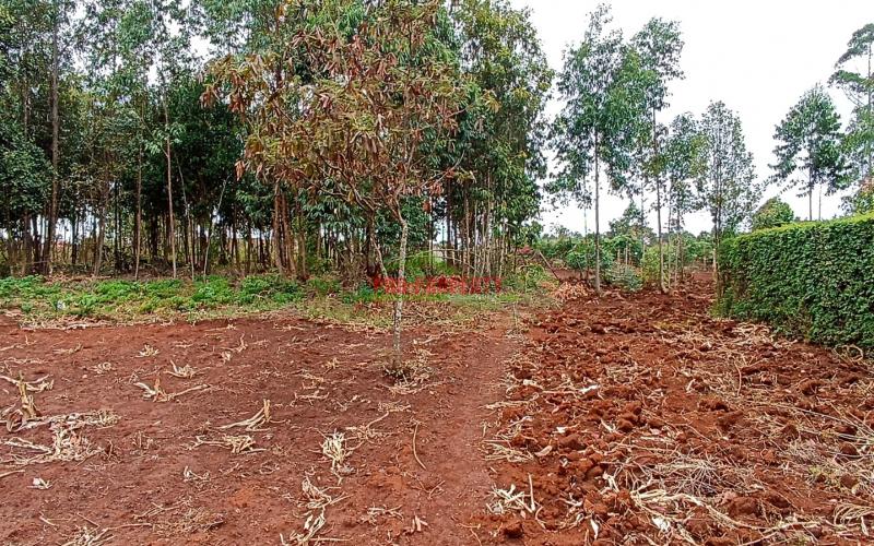 Residential Plot For Sale In Kikuyu, Gikambura (riu Nderi Area)