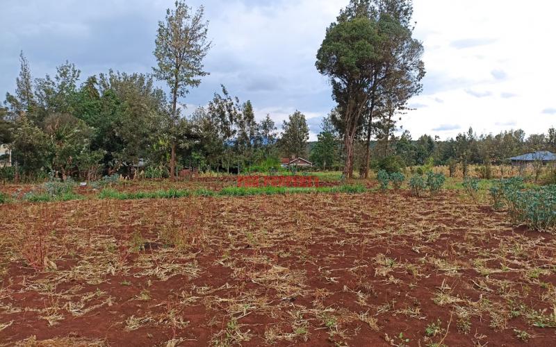 Prime Residential Plot For Sale In Kikuyu, Gikambura.