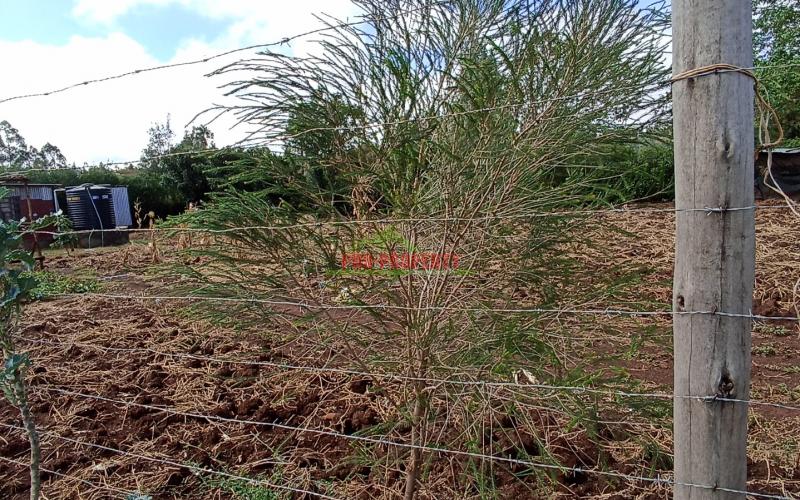 Residential Plot For Sale In Kikuyu At Gikambura.