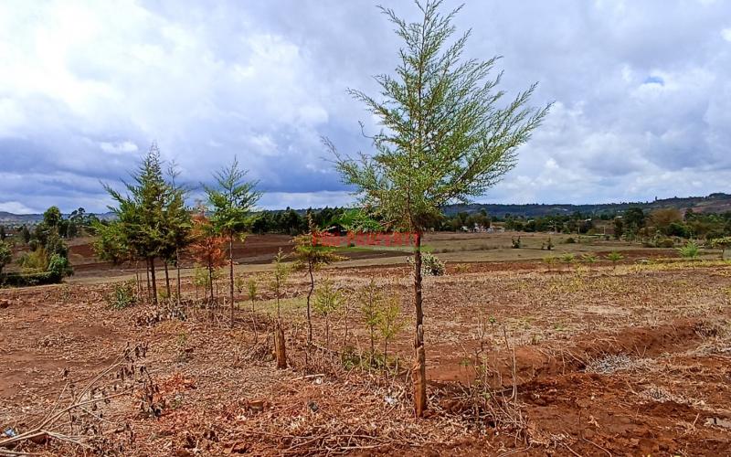 Residential Plot For Sale In Kikuyu, Thigio (nguirubi Area)