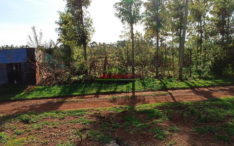 Prime Residential Plot For Sale In Kikuyu, At Mai A Ihii