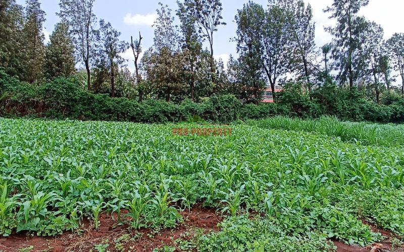 Prime Commercial Plot For Sale In Kikuyu Thogoto – Southern Bypass