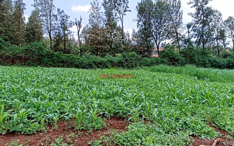 Prime Commercial Plot For Sale In Kikuyu, Thogoto – Southern Bypass