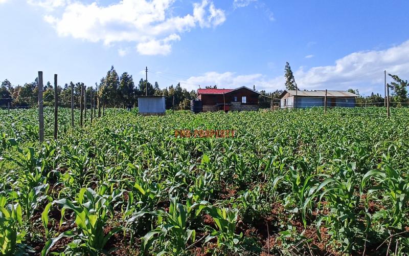 Residential Plot For Sale In Kikuyu, Kamangu